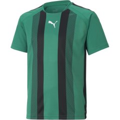 Puma Puma Teamliga Striped Jersey Jr T-Shirt Unisex Kids PGreen-Blk-Wht