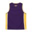 Everlast Basketball Set Junior Purple/Yellow