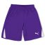 Puma (F3) Fb Team Shorts With Brief Juniors Purple