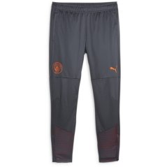 Puma Manchester City Training Bottoms 2023 2024 Adults Strong Grey