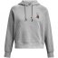Under Armour Terry Hoodie Ld99 Grey