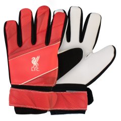 Team Fuse Goalkeeper Gloves Liverpool