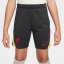 Nike Liverpool Strike Third Shorts 2024 2025 Juniors Grey