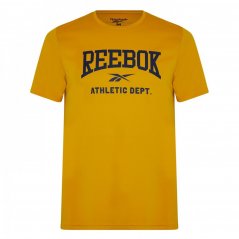 Reebok Graphic Performance T Shirt Brgoch
