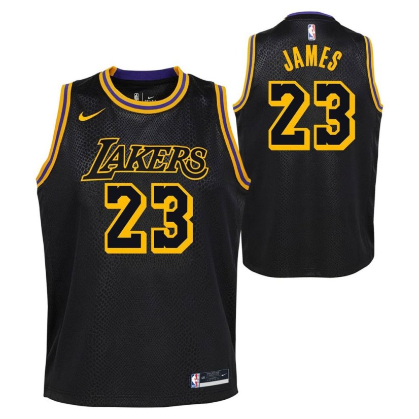 Nike LA Lakers LeBron James #23 Jersey Black