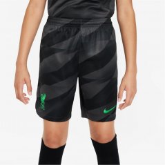 Nike Liverpool Goalkeeper Home Shorts 2023 2024 Juniors Black/Green