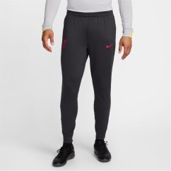 Nike Liverpool Third Strike Tracksuit Bottoms Adults Grey