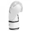 Everlast Core2 Boxing Glove White