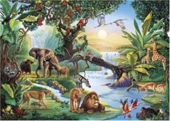 Puzzle Deštný prales