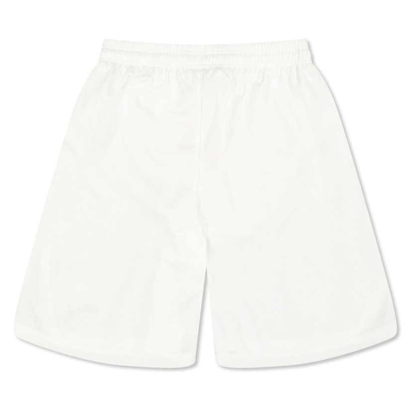 Puma (F3) Fb Team Shorts With Brief Juniors White