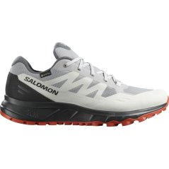 Salomon Outpath GTX Mens Hiking Shoe Alloy/Luna