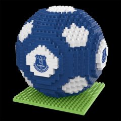 Team BRXLZ 3D Football Everton