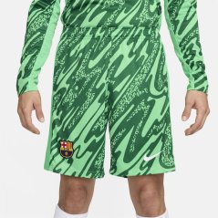 Nike Barcelona Home Goalkeeper Shorts 2024 2025 Adults Green