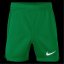 Nike Unisex Kids' Performance Gym Shorts Pine Green