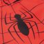 Character 2 Piece Swimsuit Set Juniors Spiderman