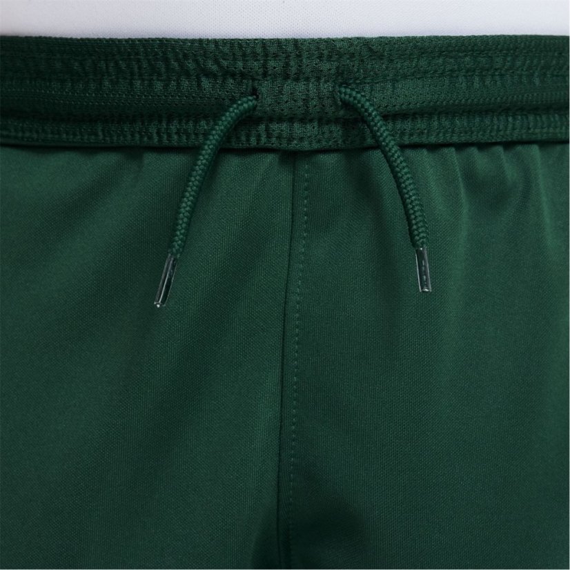 Nike Nigeria Home Match Shorts 2022 Juniors Green