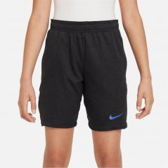 Nike Academy Shorts Black/Royal