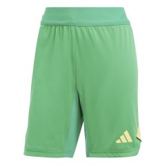 adidas Tiro 24 Pro Goalkeeper Shorts Womens Team Green