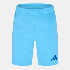 adidas Men's Goalkeeper Shorts Blue