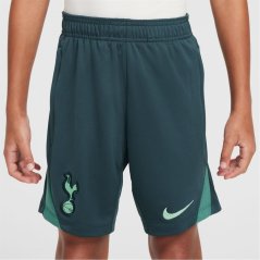 Nike Tottenham Hotspur Third Strike Shorts 2024 2025 Juniors Grey