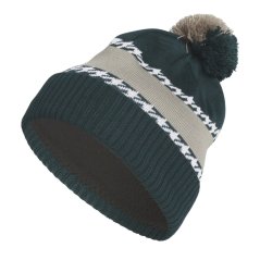 adidas Men's Pom Cold Ready Beanie Aurora Ivy F25