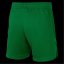 Nike Unisex Kids' Performance Gym Shorts Pine Green
