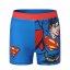 Character Character 2 piece Swimsuit Set Infants Superman