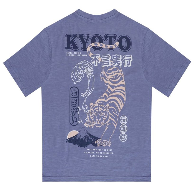 Firetrap Kids' Japan Pack Regular Fit T-Shirt Blue/Multi
