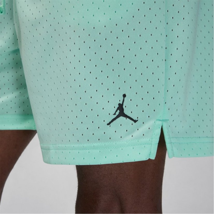 Air Jordan Sport Men's Dri-FIT Mesh Shorts Green/Black