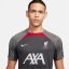 Nike Dri-FIT Liverpool FC Strike Short Sleeve Top 2023 2024 Adults Anthracite