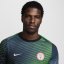 Nike Nigeria Academy Pro Home Pre Match 2024 Shirt Adults Grey