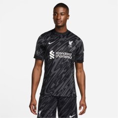 Nike Liverpool Goalkeeper Shirt 2024 2025 Adults Grey