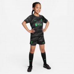 Nike Liverpool Goalkeeper Home Minikit 2023 2024 Infants Black/Green