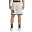 Under Armour Men's Hoops Basketball Shorts Brown