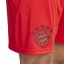 adidas Bayern Munich Home Shorts 2024 2025 Adults Red