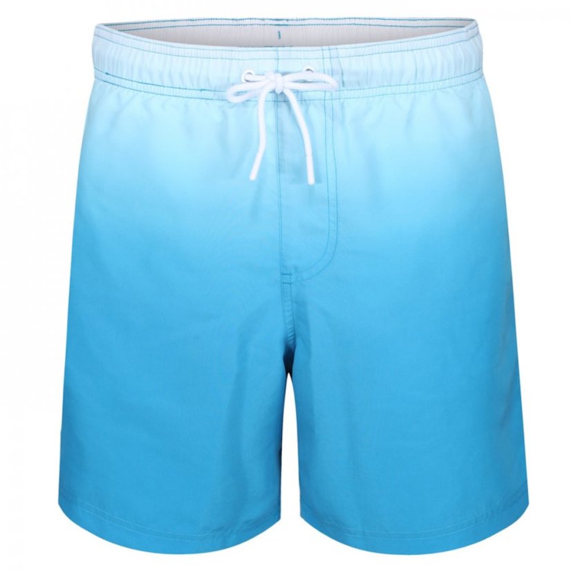 Ript Dip Dye Swim Shorts Mens Blue Dip Dye