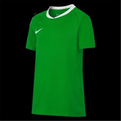 Nike Unisex Kids' Short Sleeve Performance T-Shirt Pine Green