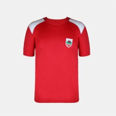 FIFA Kids Wales Short Sleeve T-Shirt Red