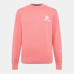 Money Combo Colour Crew Living Coral