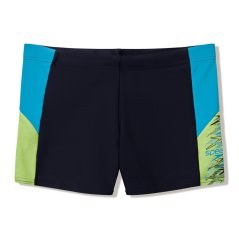 Speedo Men's Dive Swimming Trunks Ant/Teal