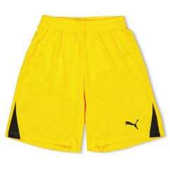 Puma (F3) Fb Team Shorts With Brief Juniors Yellow