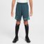 Nike Tottenham Hotspur Third Strike Shorts 2024 2025 Juniors Grey