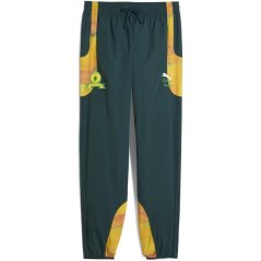 Puma Men's Mamelodi Sundowns Tracksuit Bottoms Green Terrai