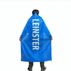 Official Cape Leinster