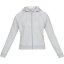 Under Armour Fleece Hoodie Mod Gray Light