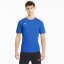 Puma Training Top Mens Blue/Blue