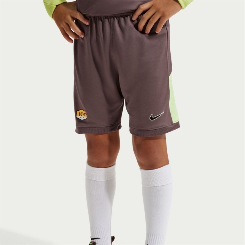 Nike Unisex Kids' Football Shorts Plum