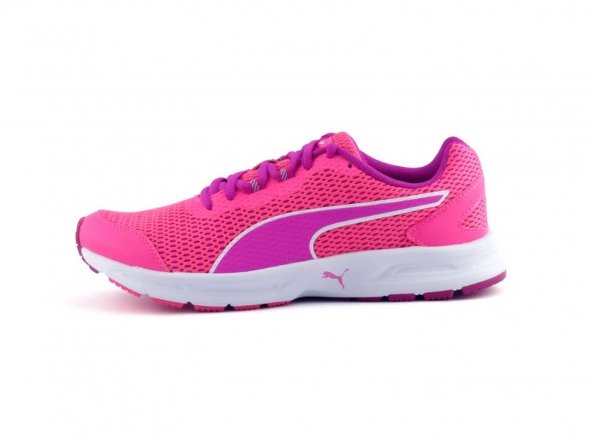 Puma Descendant V4 Trainers Ladies Pink