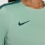 Nike Tottenham Hotspur Strike Third Drill Top 2024 2025 Womens Green