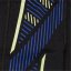 Speedo Men's Swimming Trunks Black/Blue